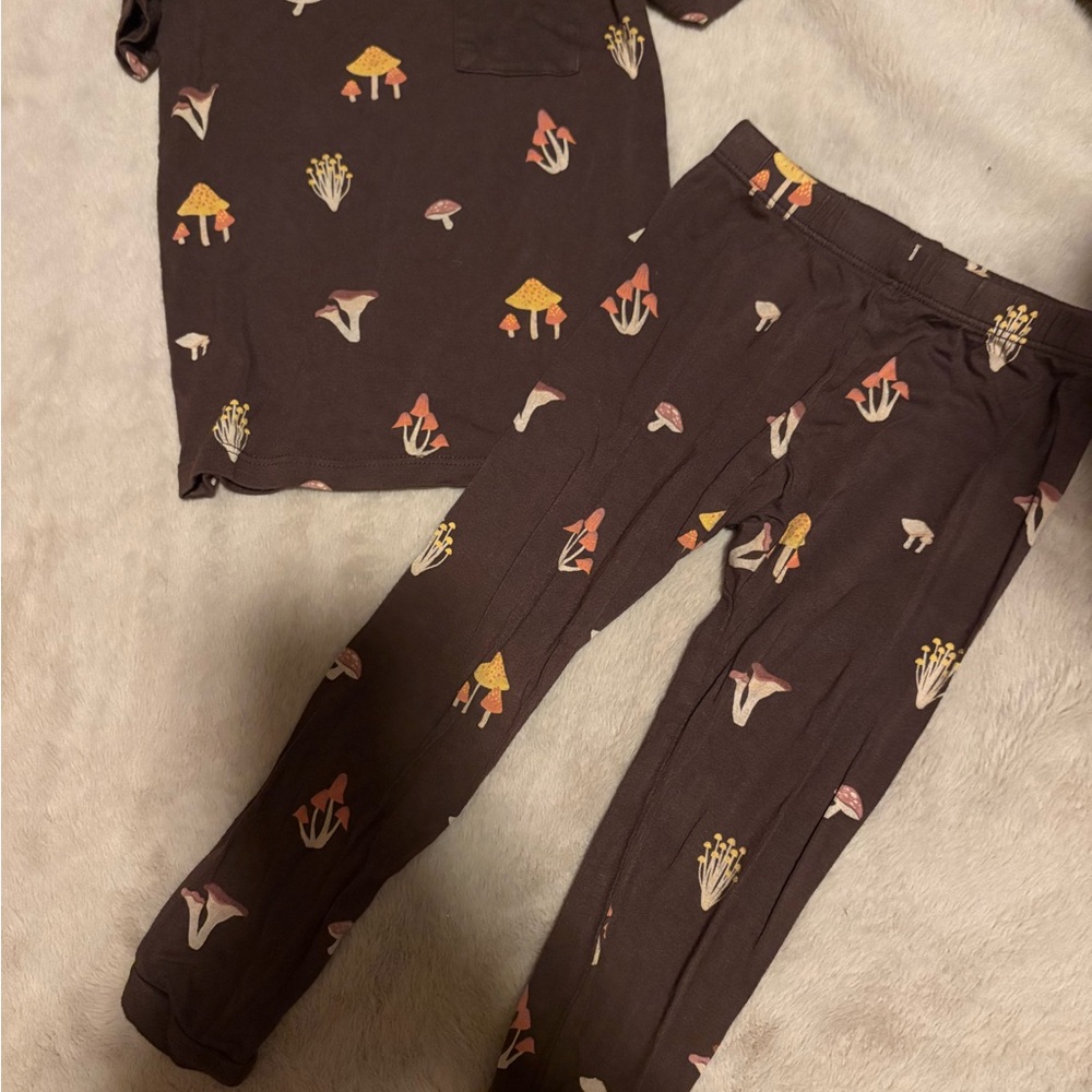 Kyte BABY Brown Mushroom Print Kids Matching Set